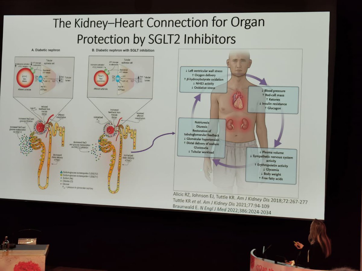 DrHumbertoRdzR's tweet photo. I enjoyed ‘at the limits' meeting in London. Bringing together specialists in Cardiology, Endocrinology, and Nephrology sparks interdisciplinary conversations that undoubtedly enhance patient care. Excellent presentations, including one from @KatherineTuttl8 https://t.co/tNwVt5ROsi