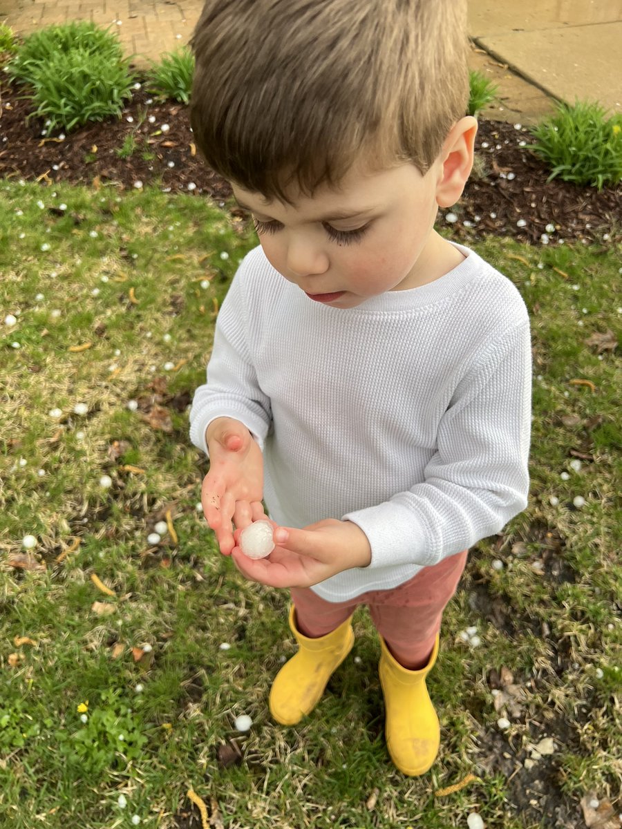 thedamderm's tweet photo. 1 inch hail in Glenview. The skylight almost didn’t make it. Cutest #stormspotter award. @NWSChicago #ilwx https://t.co/j540X3uyhU