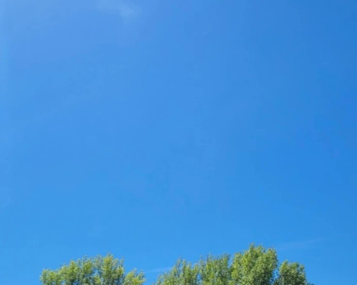JasonStiff's tweet photo. Blue tie I've had for years: $20.
Blue California sky: $0.
Original verified blue check: $0.
Current blue check value: Worthless.
#California #Chico #NorCal #blue #tie #sky #eye #check #nocheck #bluecheck #whatever #twitter #worthless #MasterCard #weather #wx #cawx #caweather https://t.co/kuyNlATh8Q