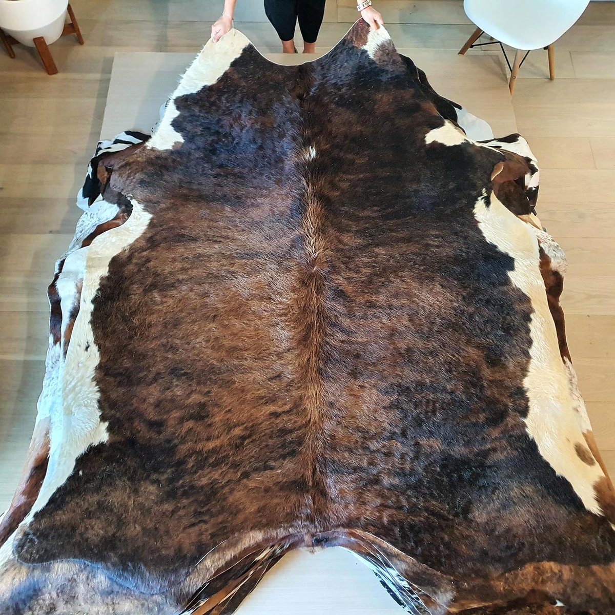 eCowhides's tweet photo. $179 - Natural Brazilian Brindle White Belly Cowhide Rug Size X Large 9758

https://t.co/HajlGYMFfQ

#luxurydesign #realcowhide #luxuryliving #cowhiderug #leather #ınterıordesingner #interior #brazilian #luxury #decor #homedecor #rugs #interior #interiordesign #homedecoration https://t.co/4DQMpX9Aik