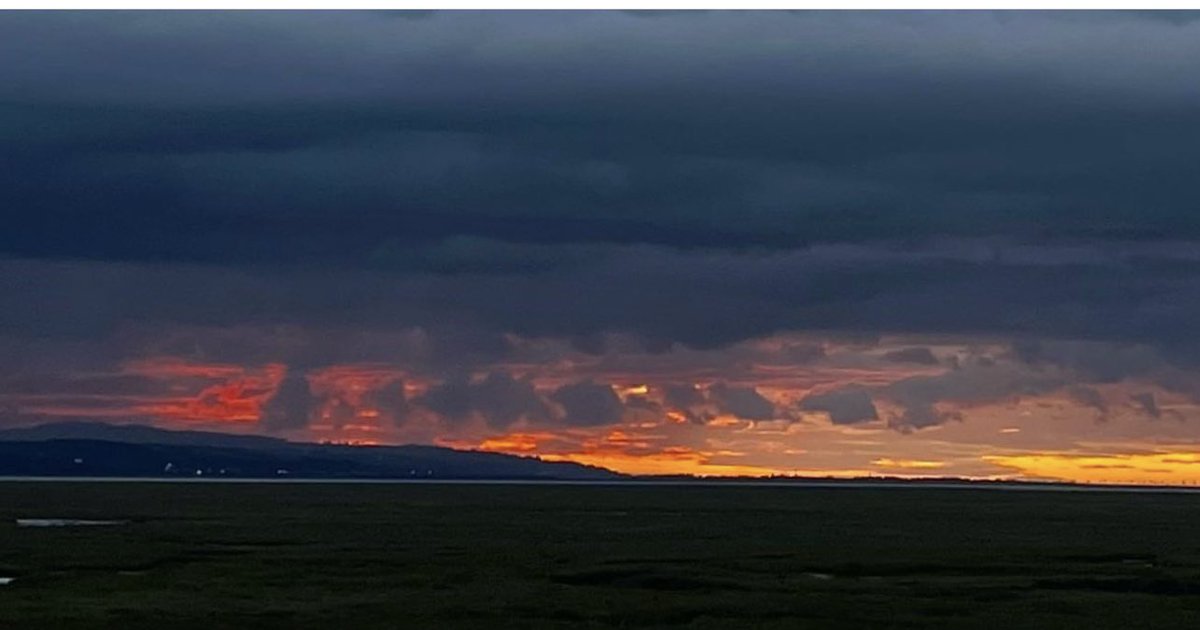 Chloe Augusta Wolf (@art_chester) on Twitter photo 