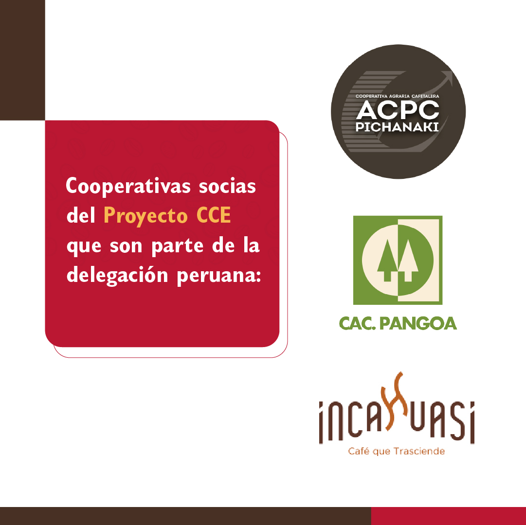 CafeCacaoPeru's tweet photo. Estamos a un día de ser parte de la Specialty Coffee Expo 2023,una de las ferias más importantes del rubro a nivel mundial. Una delegación de la Central Café y Cacao, cooperativas socias y renombrados baristas junto al #ProyectoCCE viajarán a Portland, EEUU del 21 al 23 de abril. https://t.co/uVBPkxGvIW