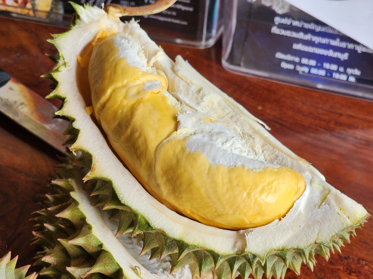 tatchanthaburi's tweet photo. รวมรายชื่อสวนผลไม้จันทบุรี “อร่อยทุกไร่ ชิมไปทุกสวนผลไม้จันทบุรี” ประจำปี 2566
.
#สวนผลไม้จันทบุรี #อร่อยทุกไร่ชิมไปทุกสวนผลไม้จันทบุรี #สวนผลไม้จันทบุรี2566 #จันทบุรีมหานครผลไม้ https://t.co/jnMsPQP3Os