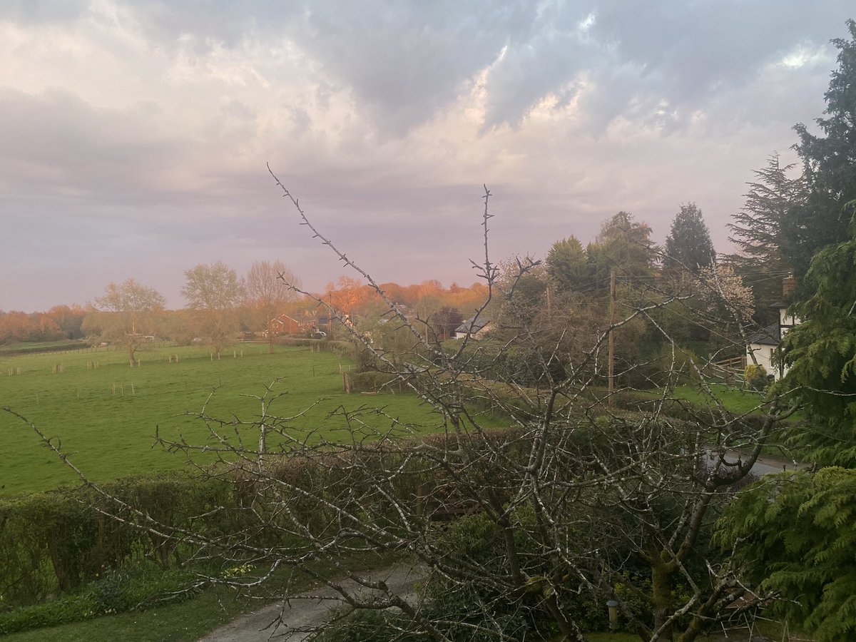 amd4_ann's tweet photo. The time before sunset is my fave time& hopefully weโll have some stable weather in the next few wks when I can get outside to enjoy it ๐๐ค. I need a mower that works 1st .I broke this one within an hour.Thatโs 8 I have now but no room to store the latest๐คจ #watchingthegrassgrow https://t.co/2on3yQvu3K