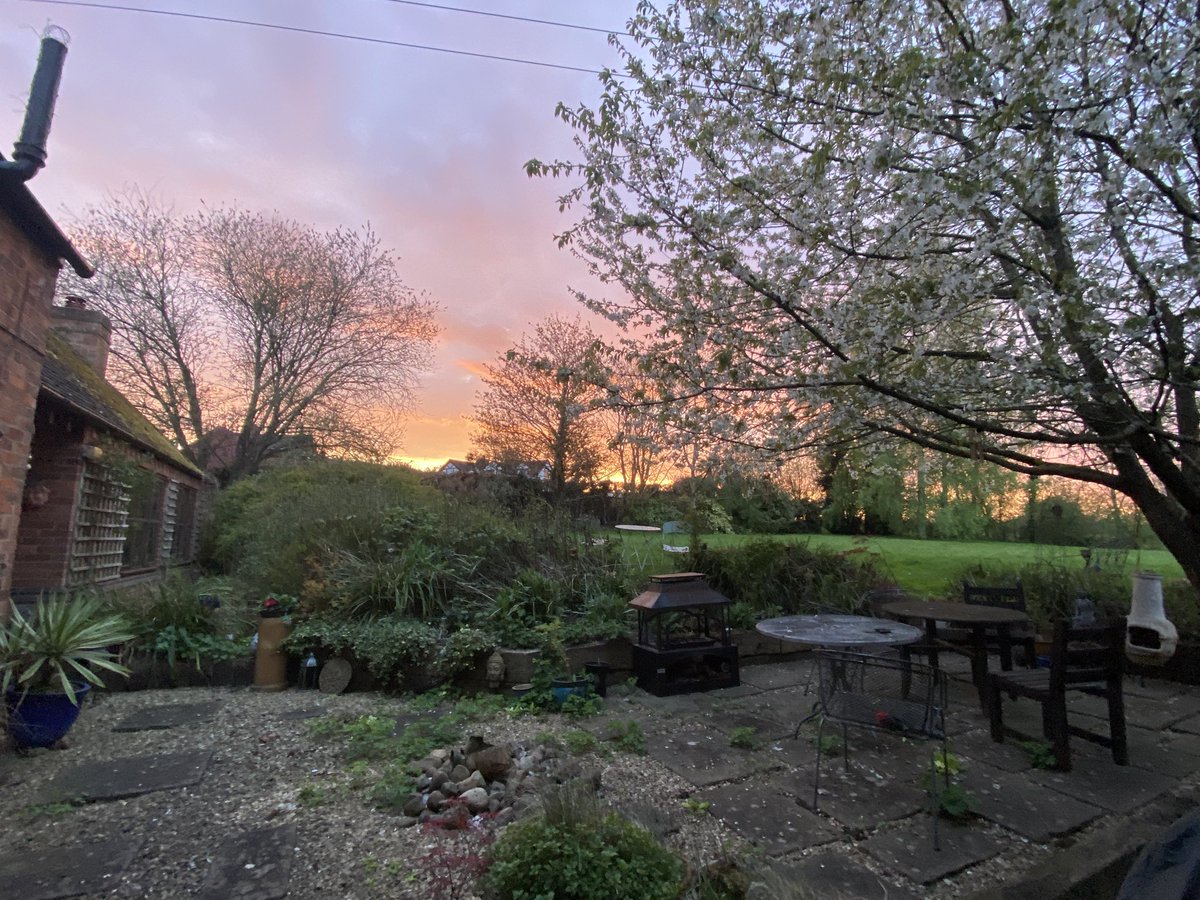 amd4_ann's tweet photo. The time before sunset is my fave time& hopefully weโll have some stable weather in the next few wks when I can get outside to enjoy it ๐๐ค. I need a mower that works 1st .I broke this one within an hour.Thatโs 8 I have now but no room to store the latest๐คจ #watchingthegrassgrow https://t.co/2on3yQvu3K