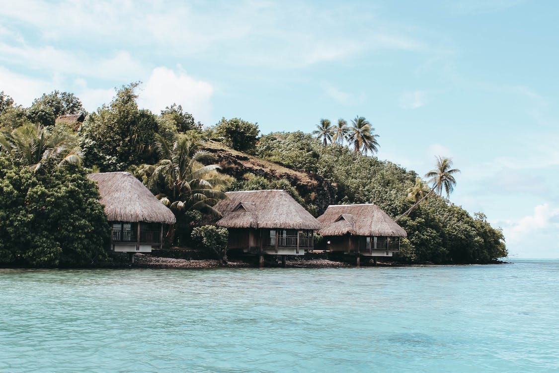 FastestExit's tweet photo. You can vacation at your resort and find a lower price on a travel website like Priceline or Expedia. Cancel your timeshare today. https://t.co/kdKUfwrVhE