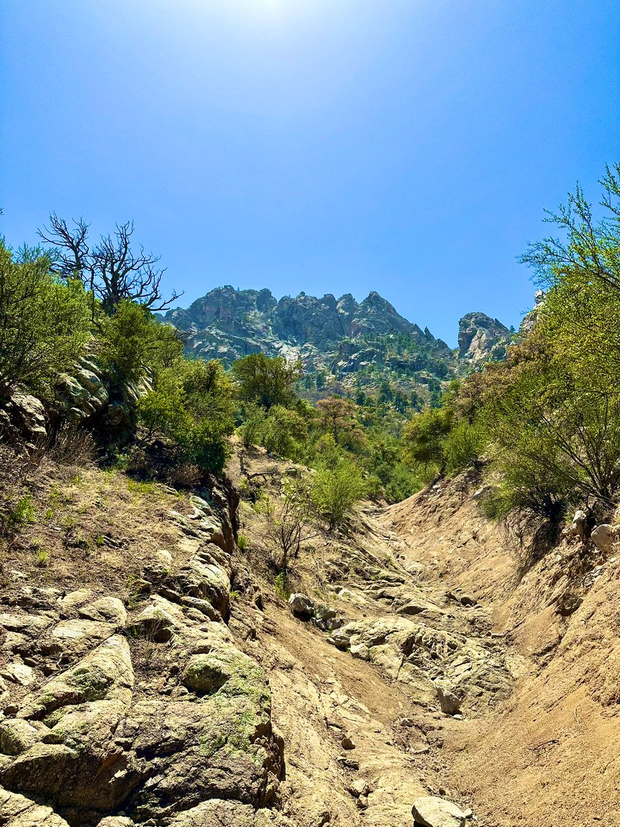 justfloaway's tweet photo. Desert #newmexico #lascruces #desert https://t.co/eyx18oanpr