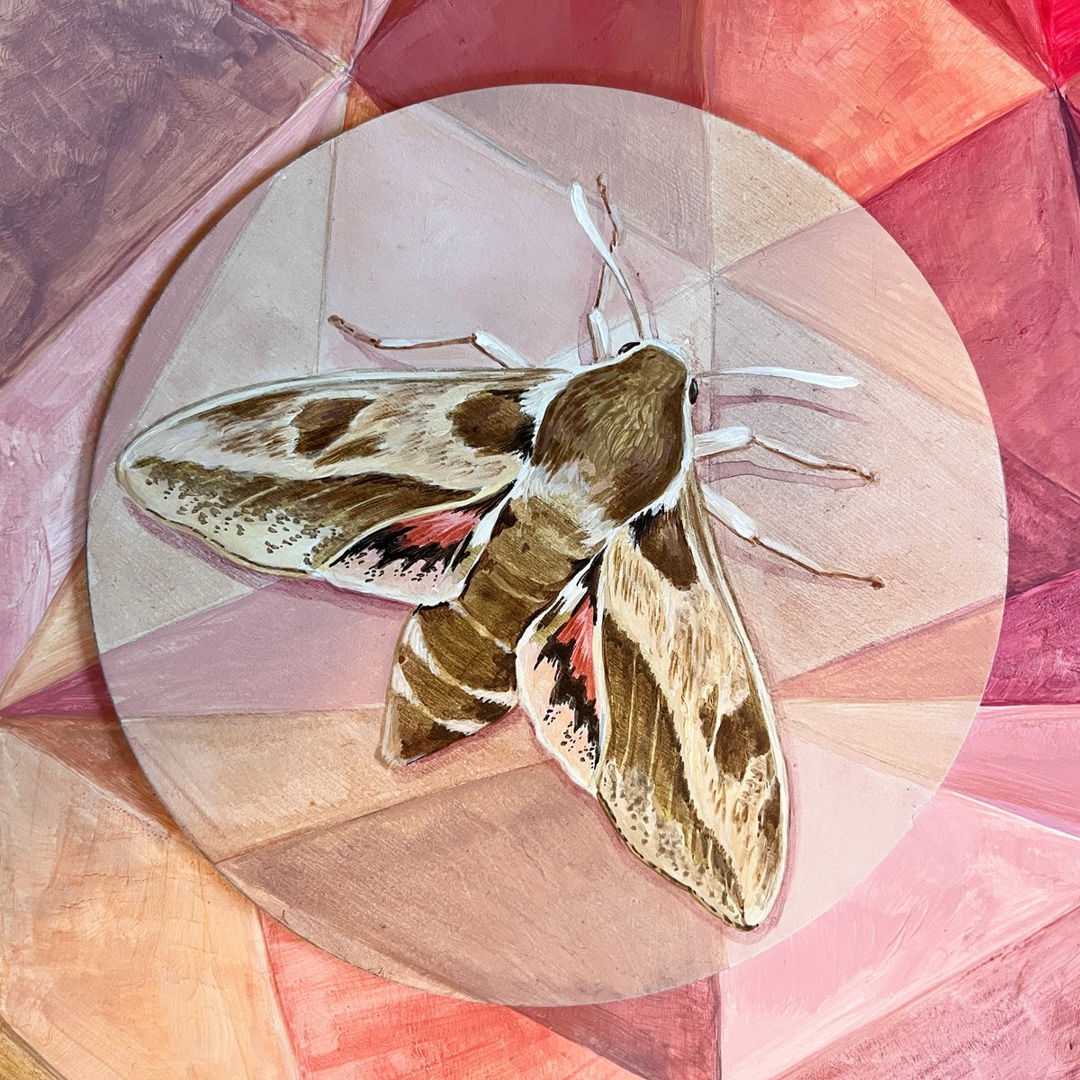 boulderartscult's tweet photo. π Call for artists and creatives π Call for entry is open for The Tiny Creatures art exhibition, workshops, and performances.
https://t.co/4YQzdKknFj
In partnership with @bouldercolorado @endangered #creatureconserve @boulderlibrary
π· Faith Williams Dyrsten https://t.co/dsGONegCKI