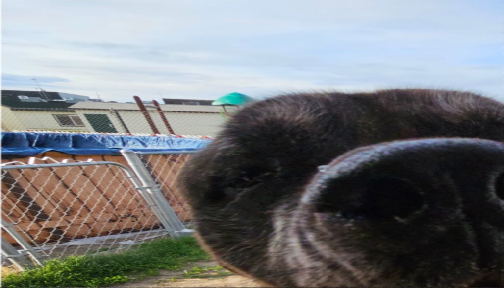 Rileys worried | 🍉🇵🇸❤️ tweet media