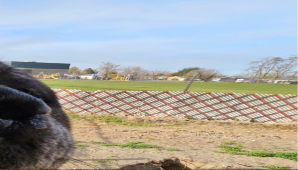 Rileys worried | 🍉🇵🇸❤️ tweet media