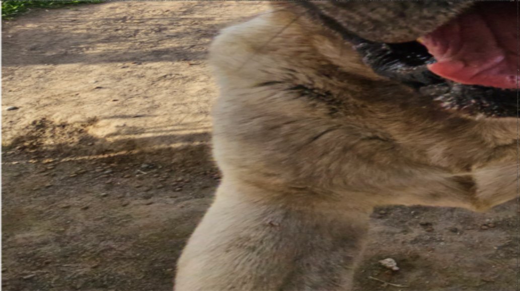 Rileys worried | 🍉🇵🇸❤️ tweet media