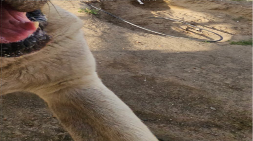 Rileys worried | 🍉🇵🇸❤️ tweet media