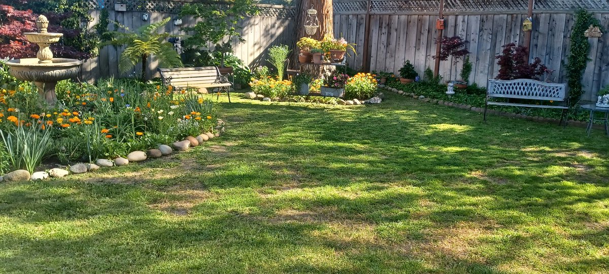 rukiddingme3590's tweet photo. @JeffRanieri @nbcbayarea It was a beautiful day for gardening and a #craftbeer😎☀️🏡🌿🌼🌻🌲🌱🍺 #midpeninsula #fourtwenty https://t.co/mywPIrazq8