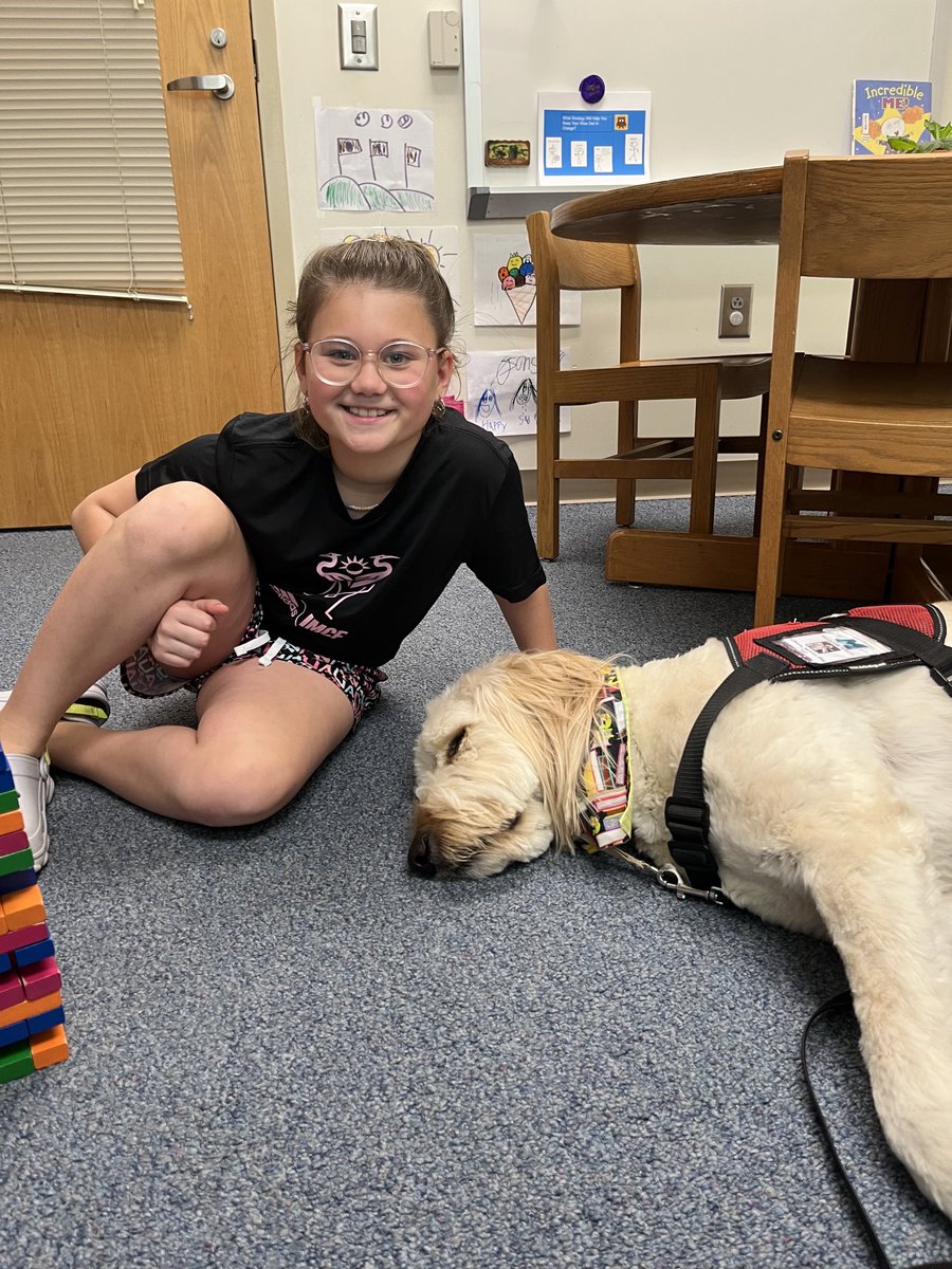 SarahBowser4's tweet photo. Sunshine and a little time with Gibson makes for a TERRIFIC THURSDAY!! 😊🐾💕#masonmomentum ⁦@MrsBly_MECC⁩ #4pawa4ability #shinelikesable https://t.co/mgW1PHCbZ0