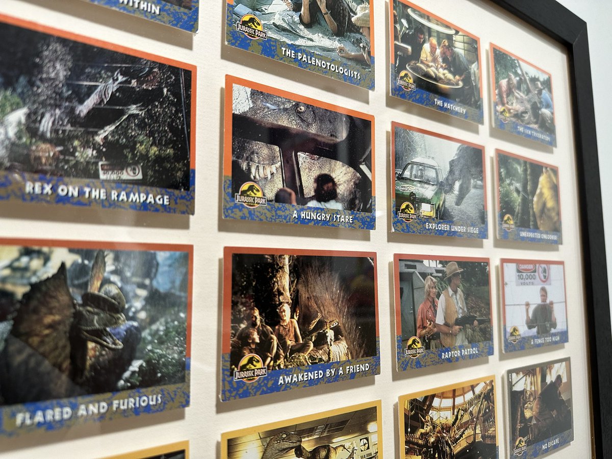 jordanleven's tweet photo. Latest addition to the JP shrine: original 1993 trading cards. https://t.co/Am1eM7dKED