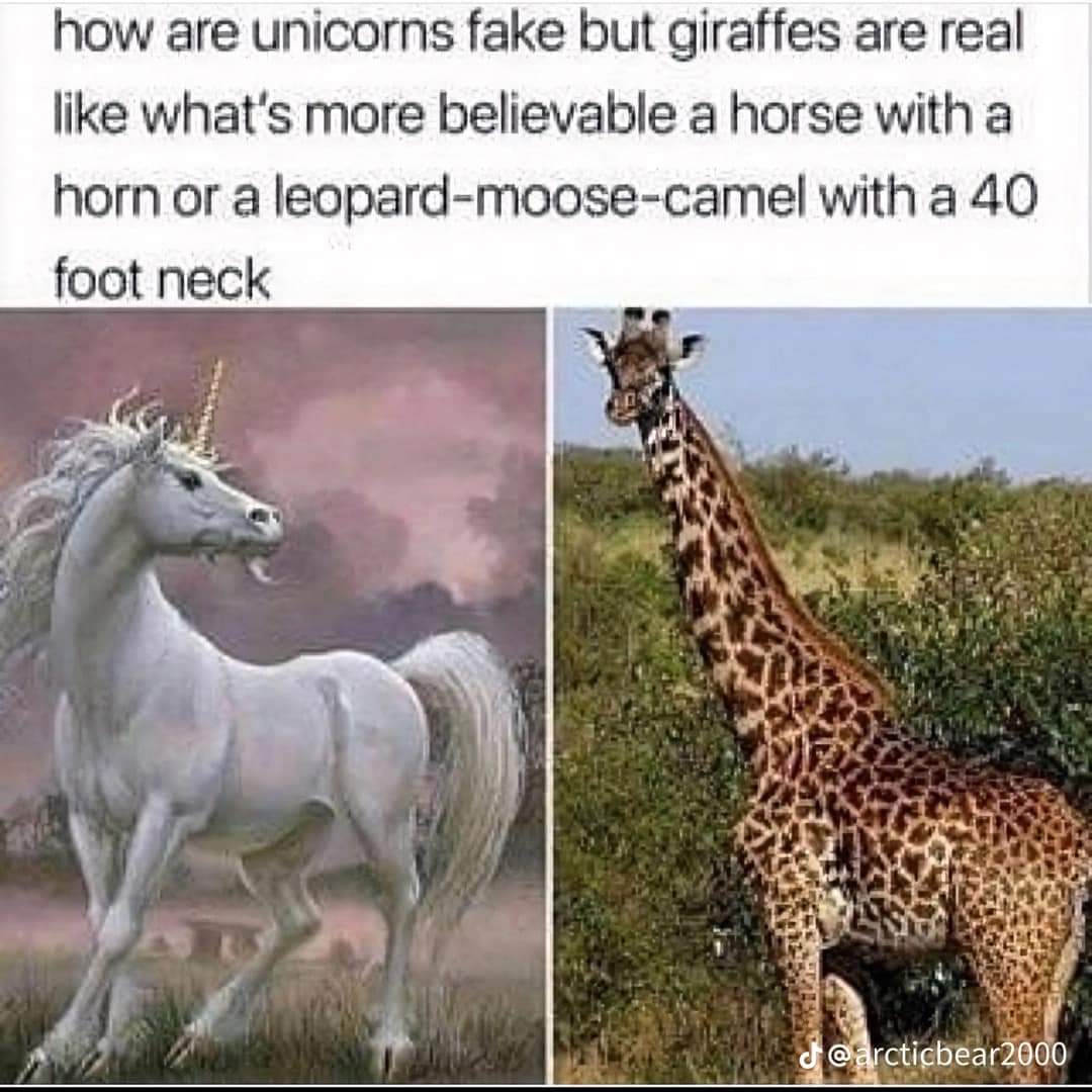 QueenNelliel💕 (@queeennellieltu) on Twitter photo 