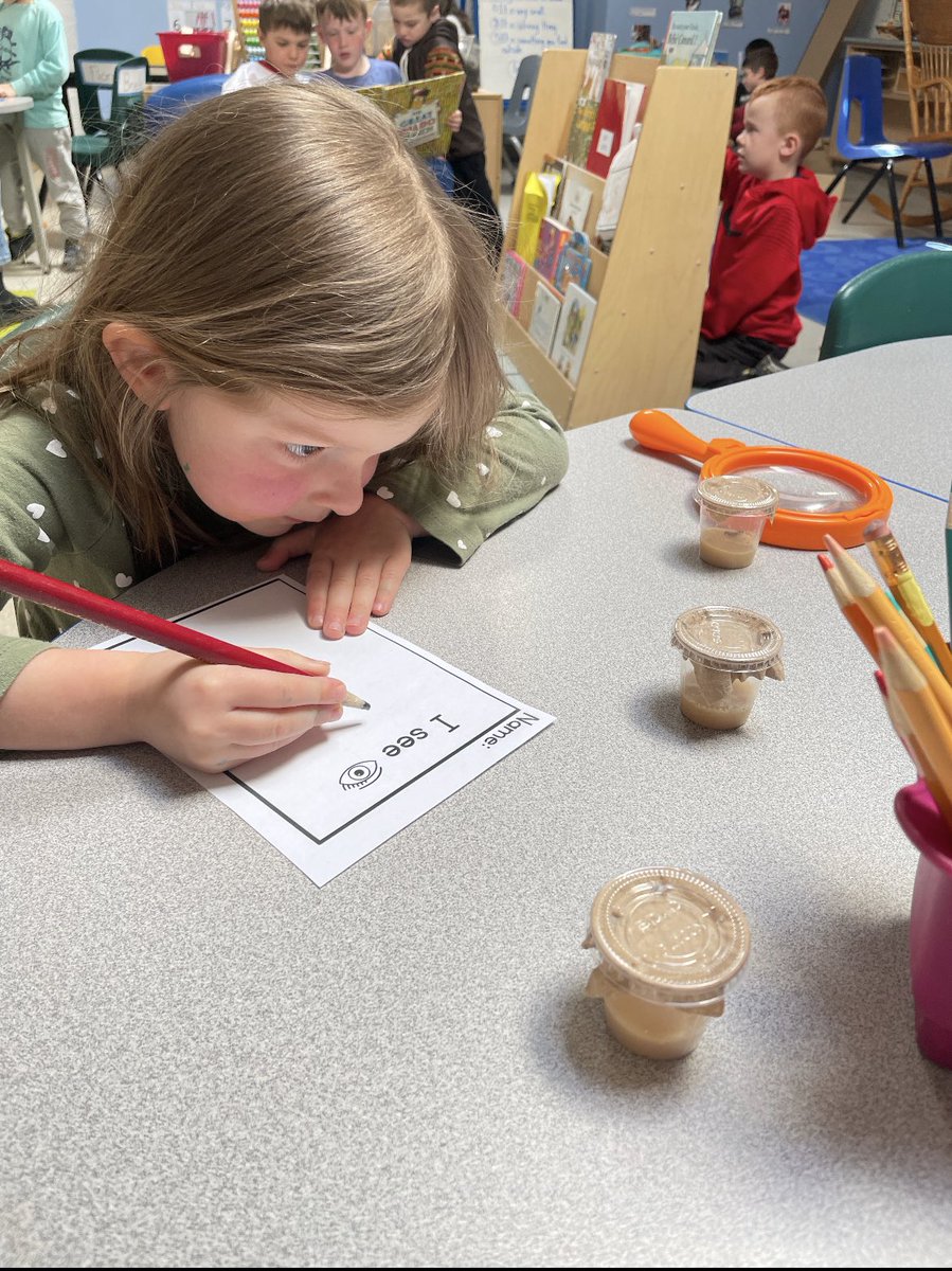 MrsBeg24's tweet photo. It was an exciting day in the 🦊 class. Our 🐛’s arrived! We spent the morning observing and documenting what we noticed. “This one is climbing!” “I want to keep researching these caterpillars!” @StPhilipOCSB #ocsbKindergarten #ocsbEarth #ocsbEco https://t.co/GJKN80BFdJ