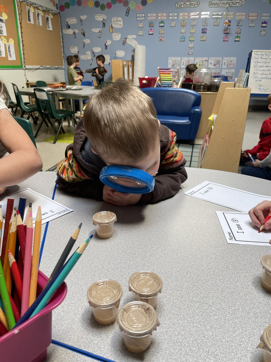 MrsBeg24's tweet photo. It was an exciting day in the 🦊 class. Our 🐛’s arrived! We spent the morning observing and documenting what we noticed. “This one is climbing!” “I want to keep researching these caterpillars!” @StPhilipOCSB #ocsbKindergarten #ocsbEarth #ocsbEco https://t.co/GJKN80BFdJ