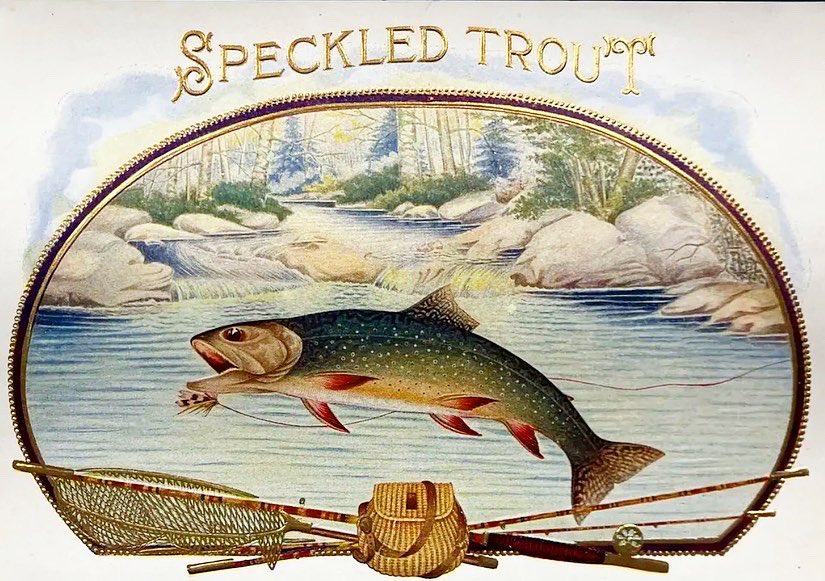 TreasuresFly's tweet image. Looking forward to signing books and selling antique tackle at the Battenkill Fly Fishing Festival next weekend April 28th + 29th in Arlington, VT @arlingtonvt #vtflyfest #battenkillflyfishingfestival #vermontflyfishing #battenkillriver #flyfishing #flyfishingtreasures #flyfish