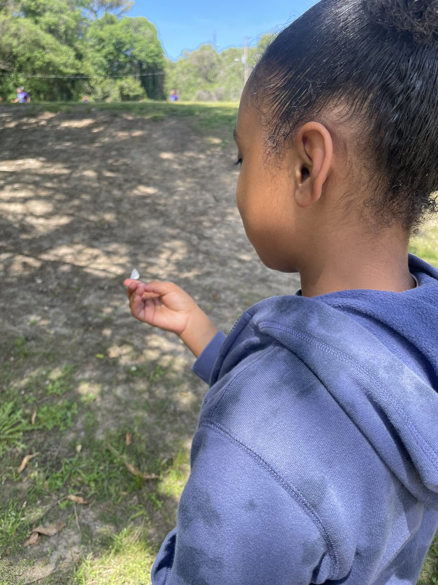 missoneals's tweet image. Decided to take a brain break and grab some fresh air … stumbled about this time a living butterfly 🦋 

She found the first butterfly last semester but unfortunately not alive ! 

Her new name is #butterflyqueen 💕 #taggingexcellence #schoolvibes #brainbreak