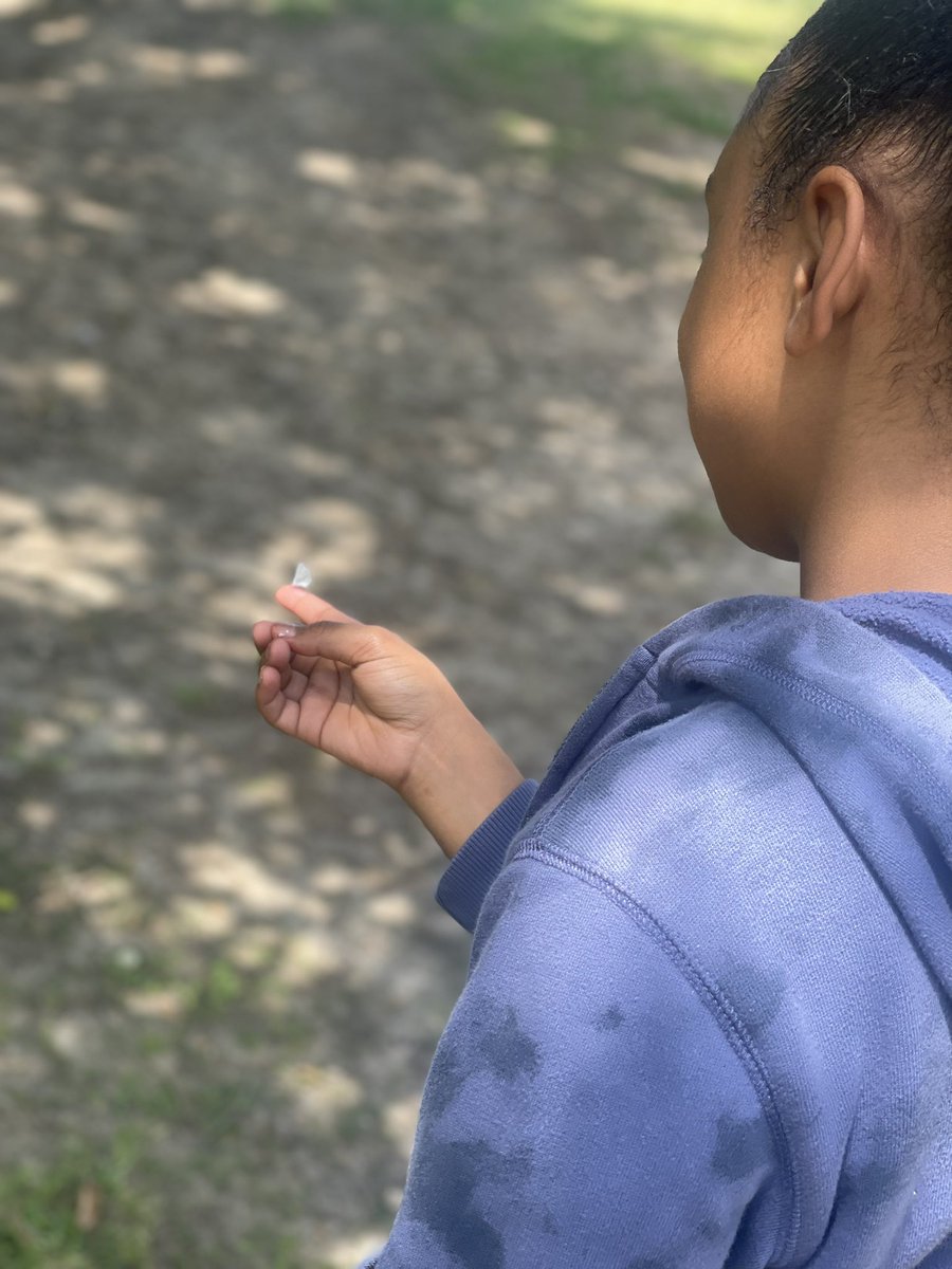 missoneals's tweet image. Decided to take a brain break and grab some fresh air … stumbled about this time a living butterfly 🦋 

She found the first butterfly last semester but unfortunately not alive ! 

Her new name is #butterflyqueen 💕 #taggingexcellence #schoolvibes #brainbreak