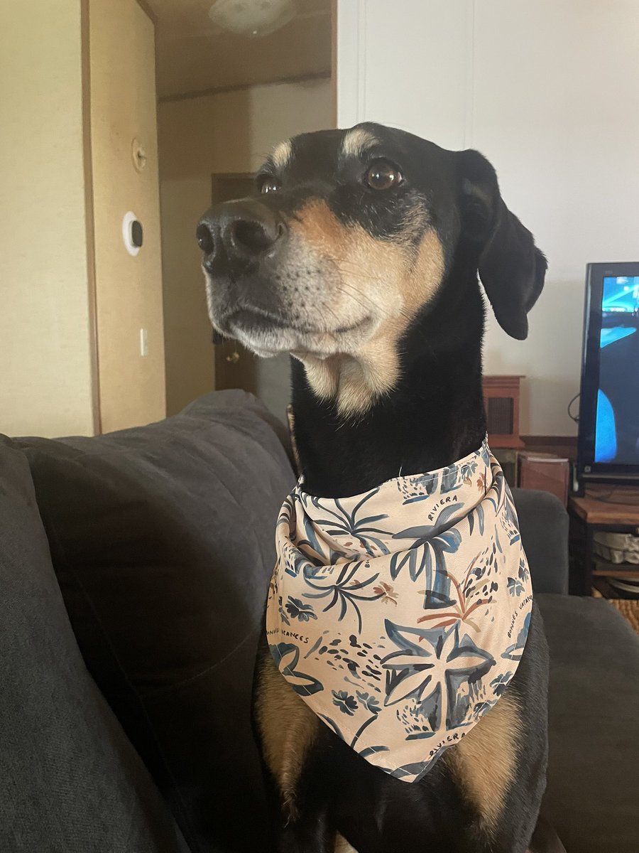 shiftingart's tweet photo. She got her present from our cruise and is very proud https://t.co/5tgykLmkJM