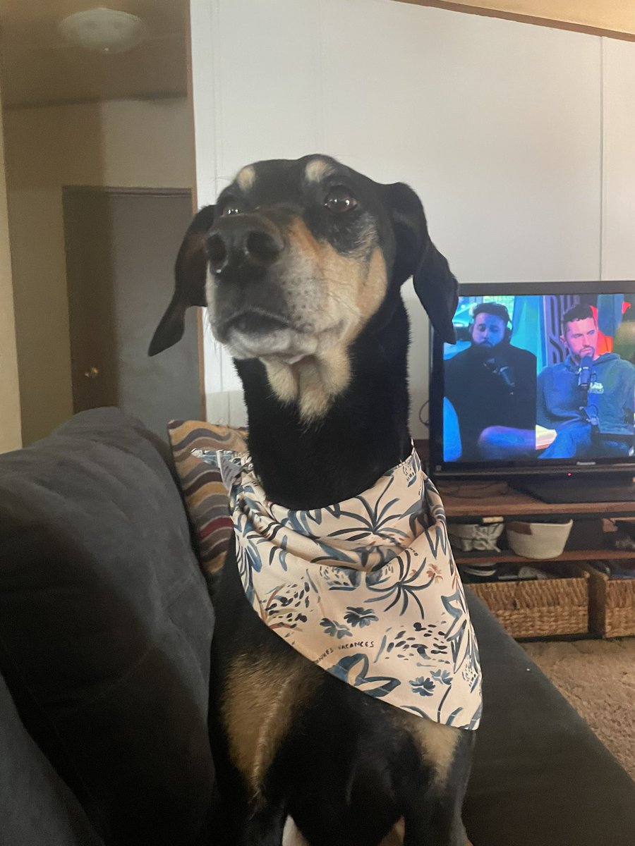shiftingart's tweet photo. She got her present from our cruise and is very proud https://t.co/5tgykLmkJM