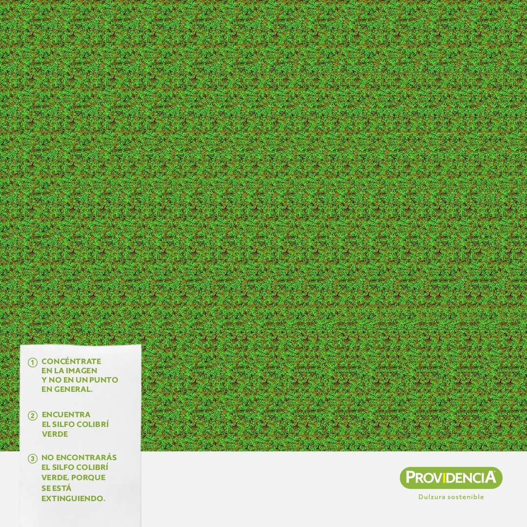 providencia_col's tweet photo. Hoy en el #DíaDeLaTierra pongamos a prueba tu habilidad de concentración. Mira fijamente la imagen y escríbenos en los comentarios qué o cuál animal logras ver. 🌿🌍🦁 #PreservaciónAmbiental https://t.co/DYGKpTOUi0