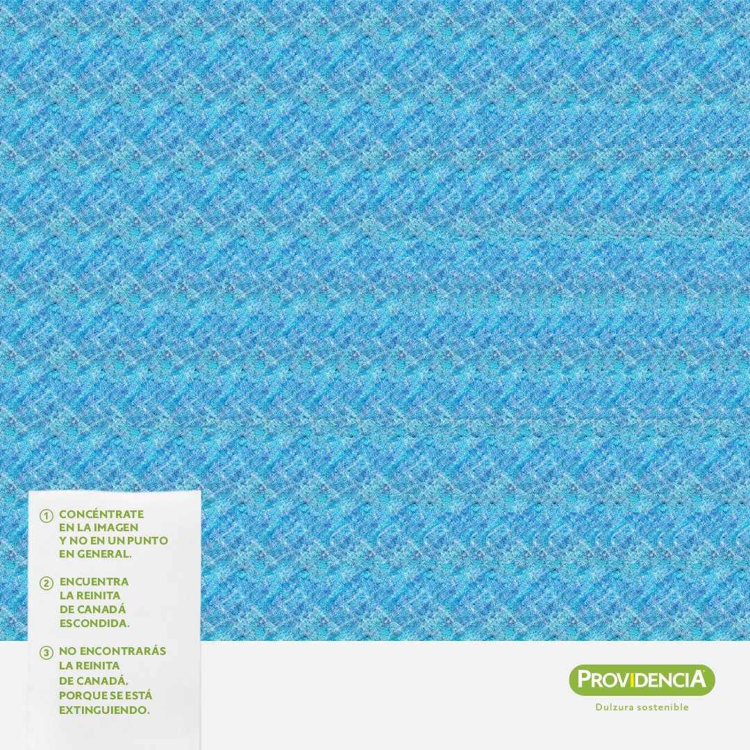 providencia_col's tweet photo. Hoy en el #DíaDeLaTierra pongamos a prueba tu habilidad de concentración. Mira fijamente la imagen y escríbenos en los comentarios qué o cuál animal logras ver. 🌿🌍🦁 #PreservaciónAmbiental https://t.co/DYGKpTOUi0
