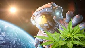 DJKristopherE's tweet photo. Happy 420! #420day #420community https://t.co/oE8nNJKw4I