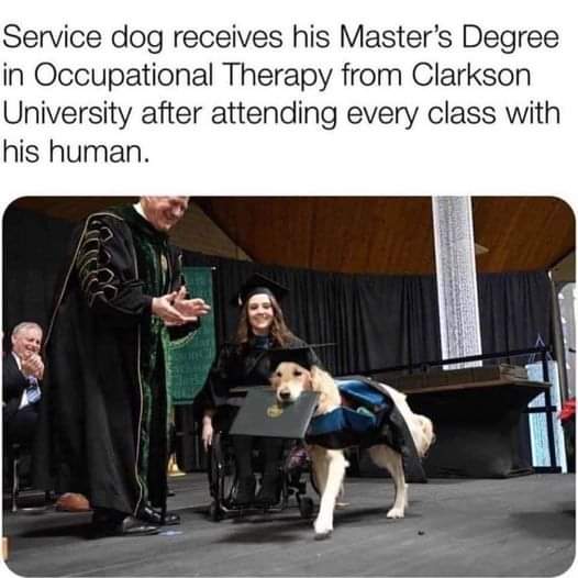 doggynation_'s tweet photo. Congratulations! 🎓 https://t.co/cmNwUGtCW5