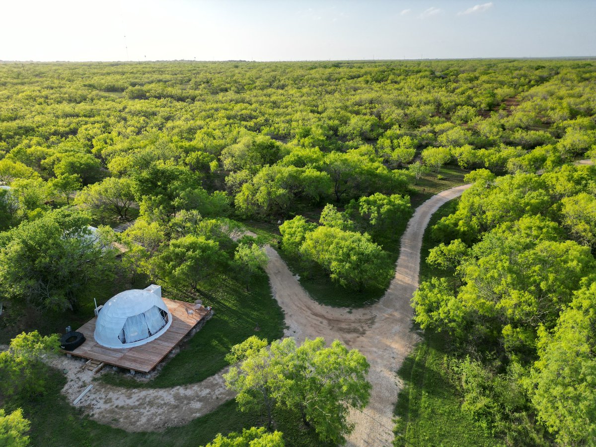 Geodomesostx's tweet photo. In its tranquility and stillness, we can find our own bliss. Get Inspired ☀️#geodomesofsouthtexas #gostx #fyp #nature #wildlife #travel #tranquility #vacation #bucketlist #couples #relax #texasglamping #couplesgetaway #SanAntonio #Dallas #Houston #corpuschristi #austin #fyp https://t.co/nfyaGPiW0E