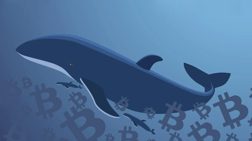 UUExchange's tweet photo. Dormant Bitcoin Wallet Linked to Mt Gox Saga Moves $60 Million for the First Time Since 2013
https://t.co/Xo9tZAnJ2m

Follow👇
UUEX official website: https://t.co/dlIKVOFYd3
https://t.co/zQcXMd2MBE
Official mailbox： uuex@usdt.com
UUEX English Group： https://t.co/9eEKSABUdY https://t.co/nLLcZKFk5U