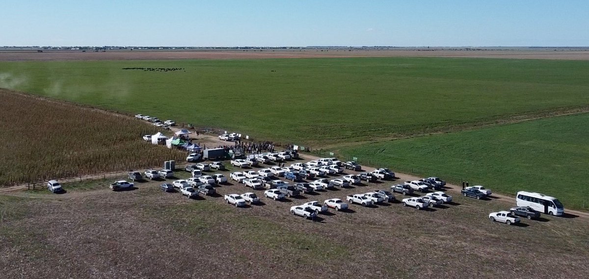 Fede_Granillo_'s tweet photo. Gran jornada técnica en región semi árida. Gracias a todos por recibirnos!!  #JATCREAGUATRACHE!! 
@BayerAgro @DekalbArgentina 
@FieldViewArg https://t.co/JkRmA5pULK