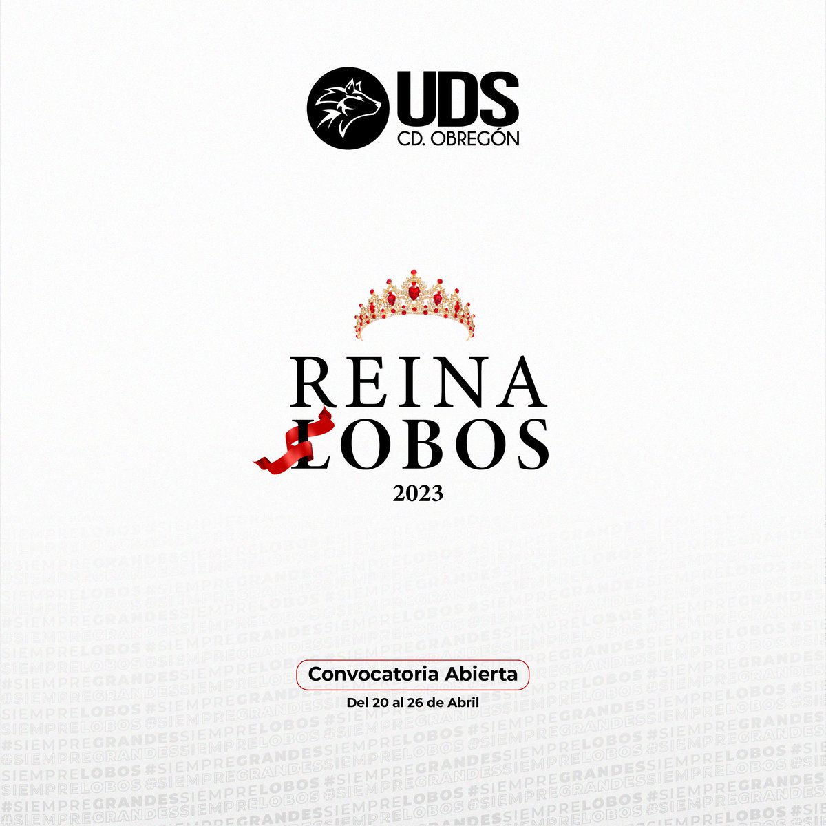 UDSOBREGON's tweet photo. ¿Quién será nuestra próxima Reina Lobos? 👑👏

📌 Convocatoria del 20 al 26 de Abril.

Si tienes alguna duda comunícate por medio de nuestras redes sociales o bien en el departamento de mercadotecnia.

#siemprelobos #reinalobos https://t.co/kqs55PhpTr
