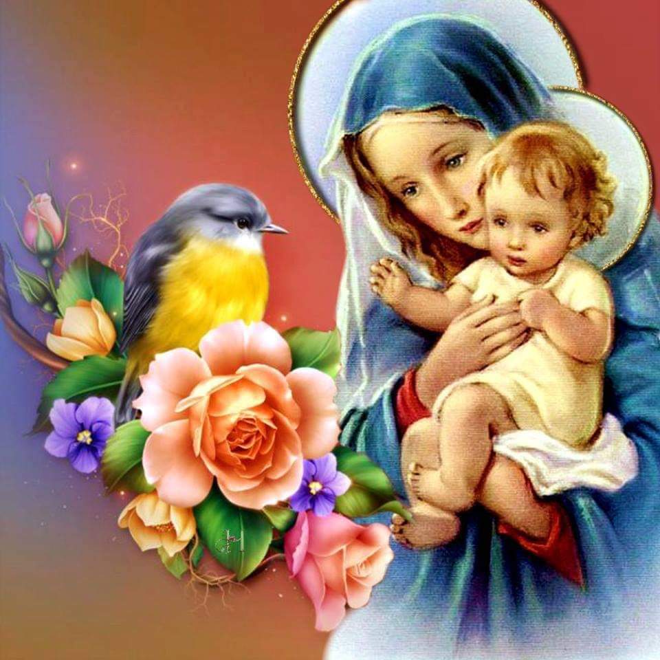 AJesusporMaria5's tweet photo. Dulce Madre, no te alejes, tu vista de mi no apartes.
Ven conmigo a todas partes y nunca solo me dejes.
Ya que me proteges tanto como verdadera Madre, Haz que me bendiga el Padre, el Hijo y el Espíritu https://t.co/C9ZNgYZNfqén. https://t.co/9sABLdeqY5