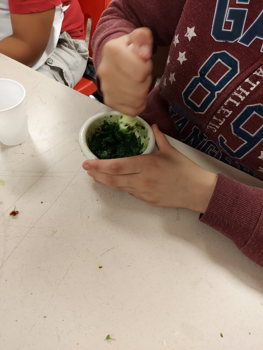 KelseyLPharrES's tweet photo. Our TALENTS students foraged some natural ingredients from the garden to make their own botanical inks for Art π¨ π #OneTeamOneDream #BringingourAgame #KLProcks @suptDotres @mdcpscommunity @miamischools @drdbmindingall @MDCPSCentral https://t.co/ahLT2NitTf
