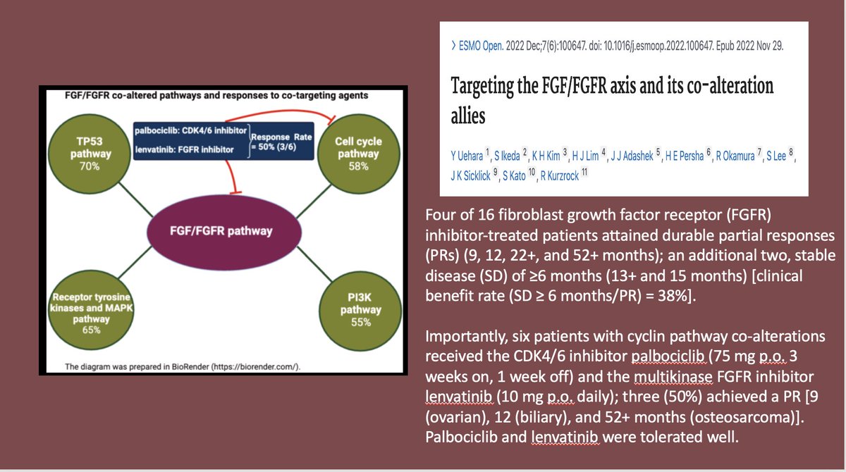 The FGF/FGFR axis.🎯🎯
Co-driver alterations are often present, especially in cyclin genes. 
Targeting both the FGFR axis and the co-driver axis is safe and active.  
N-of-1 individualized therapy.  💡💡