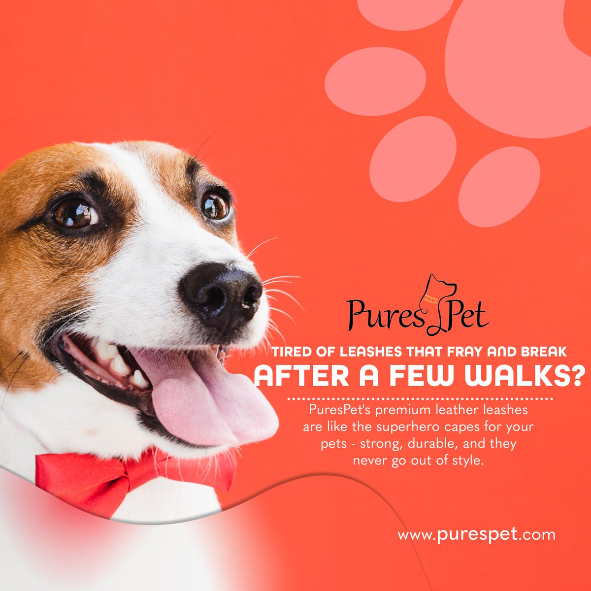 Tired of leashes that fray and break after a few walks? PuresPet's premium leather leashes are like the superhero capes for your pets - strong, durable, and they never go out of style.
Learn more by visiting the link in bio.
.
.
#dogcollar #customcollar #doggrooming #PuresPet