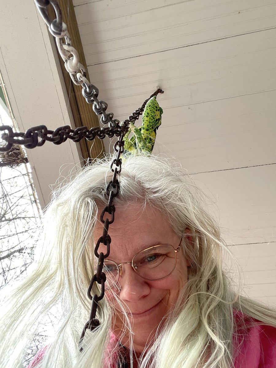 Dr. Heather Hallen-Adams tweet media