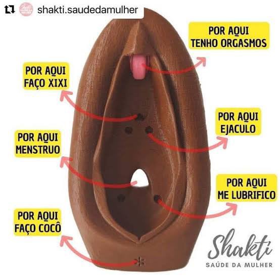 choquei's tweet photo. 🚨VEJA: Perfil mostra como funciona o aparelho genital feminino e gera surpresas entre homens. https://t.co/A2dkT1B8Ed