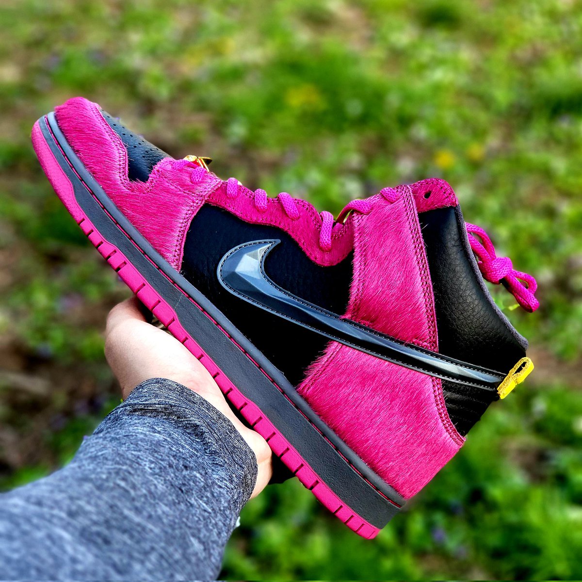 james8439's tweet photo. Happy 420 everyone #420 #blazeit #nikesb https://t.co/yGm9stkqux