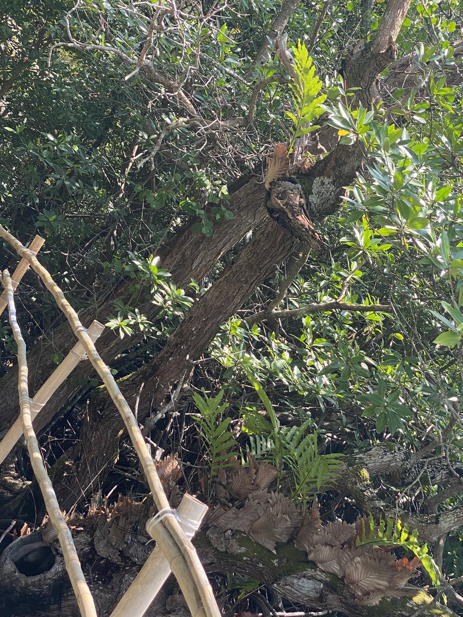 sdaniels009's tweet image. Goku Luffy
 Naruto All Might
IPPO BAKI
Ichigo Kenshin 
Kenshiro zoro
Yuske kuroko 
Tanjuro Akame

How many of these #avatars have shaped who you are? Who are you? What do you #holdtheline for?

I #Embody #choice. 

#timetofly