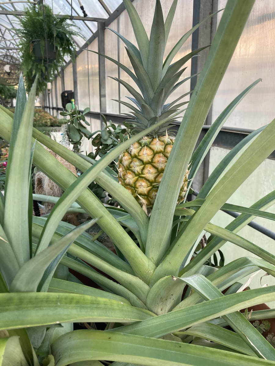 Yonder Farm tweet media