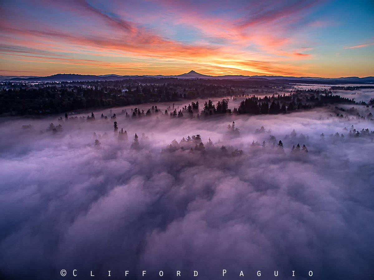 Those are not fog or clouds. Those are from Oregonian celebrsting 4/20 🤣🤣
#portland #pdx #oregonian #oregon #420day