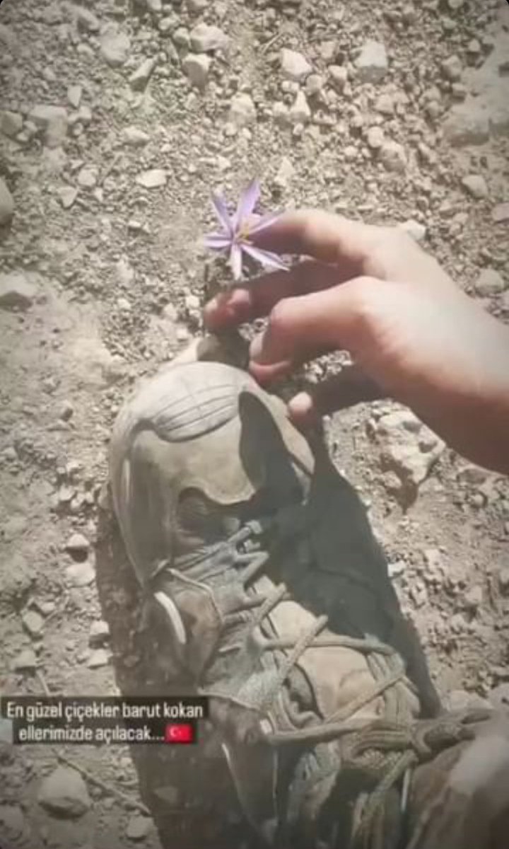 YİĞİT ⚓ (@kuzey876415) on Twitter photo 