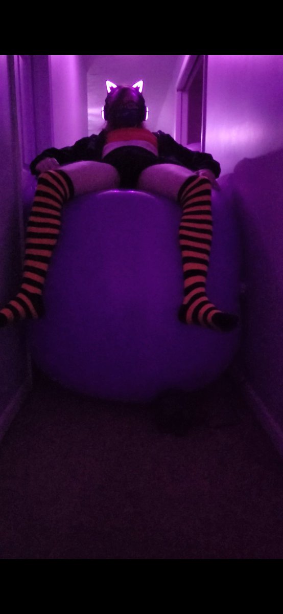2puffy2fluffy's tweet photo. Is very nice to just sit on one and slowly watch as you rise upwards from the floor~ https://t.co/XMiacnLG2s
