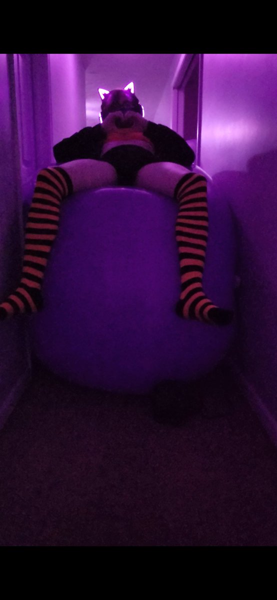 2puffy2fluffy's tweet photo. Is very nice to just sit on one and slowly watch as you rise upwards from the floor~ https://t.co/XMiacnLG2s