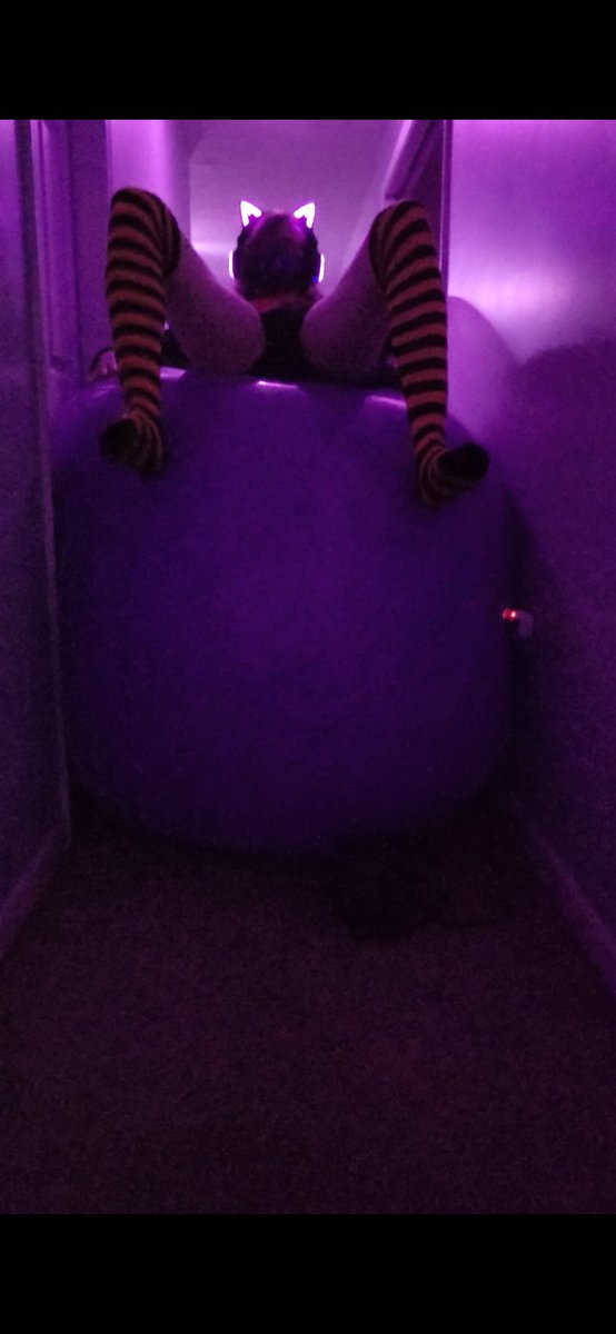 2puffy2fluffy's tweet photo. Is very nice to just sit on one and slowly watch as you rise upwards from the floor~ https://t.co/XMiacnLG2s