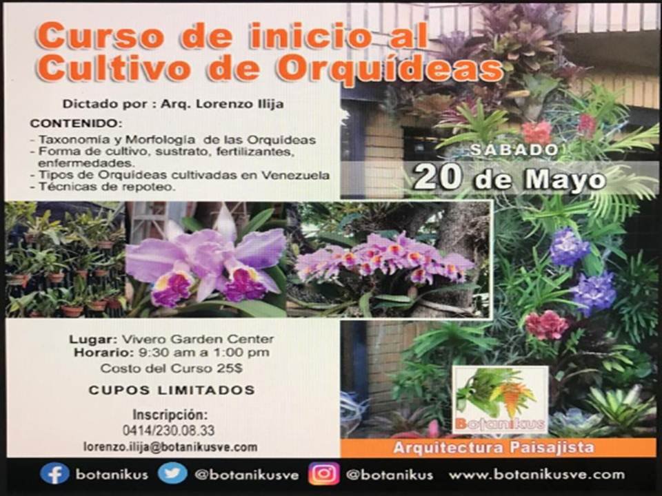 CURSO DE INICIO AL CULTIVO DE ORQUÍDEAS
Dictado por el Arquitecto Lorenzo Ilija
* Sábado 20 de Mayo del 2023
* Av. Fco. de Miranda, Vivero Garden Center, al lado del Parque del Este, Caracas.
*Horario: 9:30 am a 1:00 pm
* Costo: 25,00 USD 
¡CUPOS LIMITADOS, llama YA!
#orquídeas
